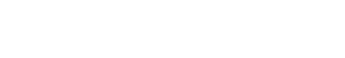 NET.COM